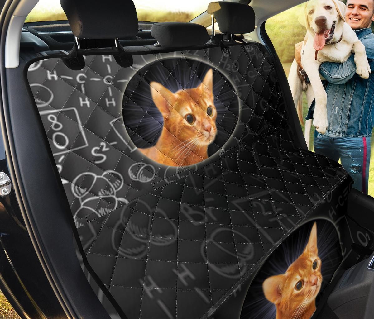 Abyssinian Cat Theme Car Back Seat Cover Dog Car Seat Covers - 40b92a9ab76b Abyssinian Cat Theme Car Back Seat Cover Dog Car Seat Covers - 40b92a9ab76b
