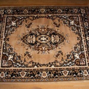 Ally Beige Traditional Rug Sport Decor Gift Floor Decor Living Room Carpet Rug Area Rug - 74d1791c60ec