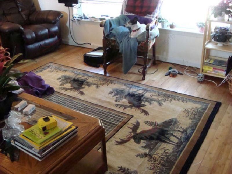 Awesome Moose Rectangle Rug Sport Decor Gift Floor Decor Living Room Carpet Rug Area Rug - ee36408ebeef Awesome Moose Rectangle Rug Sport Decor Gift Floor Decor Living Room Carpet Rug Area Rug - ee36408ebeef
