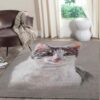 Beauty Cat Rug Sport Decor Gift Floor Decor Living Room Carpet Rug Area Rug - 56faffbd1027