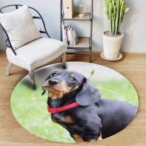 Beauty Dachshund Round Carpet Floor Rug Living Room Bedroom Decor Round Area Rug Carpet