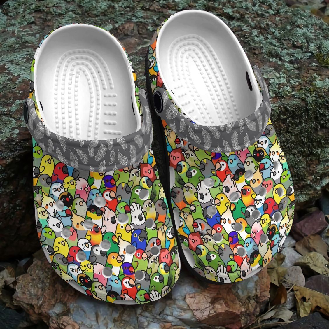 Bird Personalized Clog Custom Crocs Comfortablefashion Style Comfortable For Women Men Kid Print 3D Birdiversity Bird Personalized Clog Custom Crocs Comfortablefashion Style Comfortable For Women Men Kid Print 3D Birdiversity