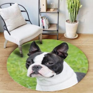 Boston The Hermit Round Carpet Floor Rug Living Room Bedroom Decor Round Area Rug Carpet