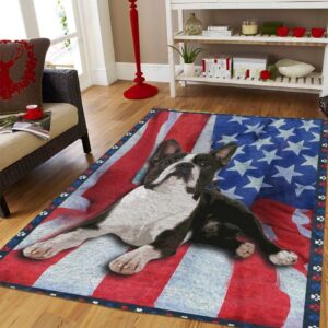 Boston Us Flag Rug Sport Decor Gift Floor Decor Living Room Carpet Rug Area Rug - 0f93322678e6