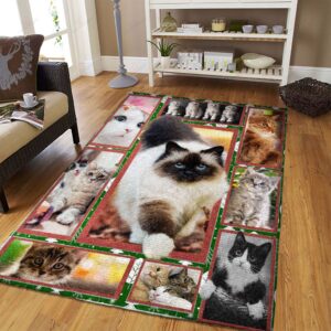 Cat 3 Rug Sport Decor Gift Floor Decor Living Room Carpet Rug Area Rug - 5f98b69f8be3