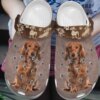 Dachshund Personalized Clog Custom Crocs Comfortablefashion Style Comfortable For Women Men Kid Print 3D Best Friend