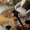 Dandelion 1 Round Carpet Floor Rug Living Room Bedroom Decor Round Area Rug Carpet