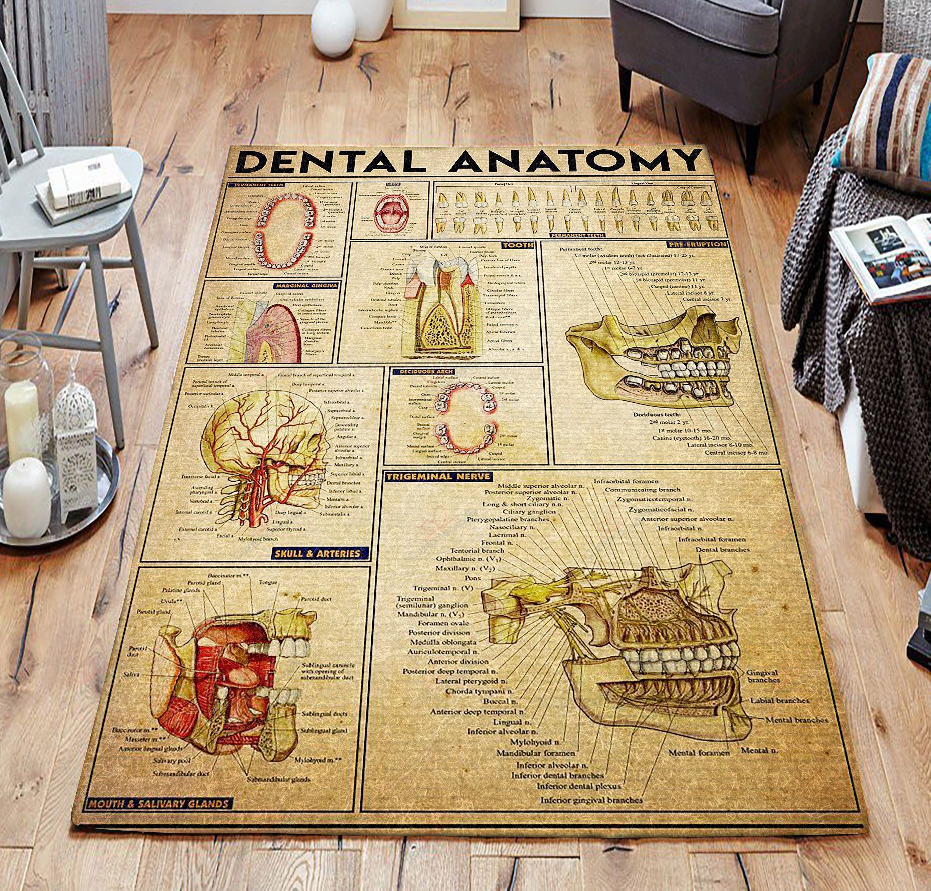 Dental Anatomy Christmas Gift For Dentists Rug Sport Decor Gift Floor Decor Living Room Carpet Rug Area Rug - ad015470b0fa Dental Anatomy Christmas Gift For Dentists Rug Sport Decor Gift Floor Decor Living Room Carpet Rug Area Rug - ad015470b0fa