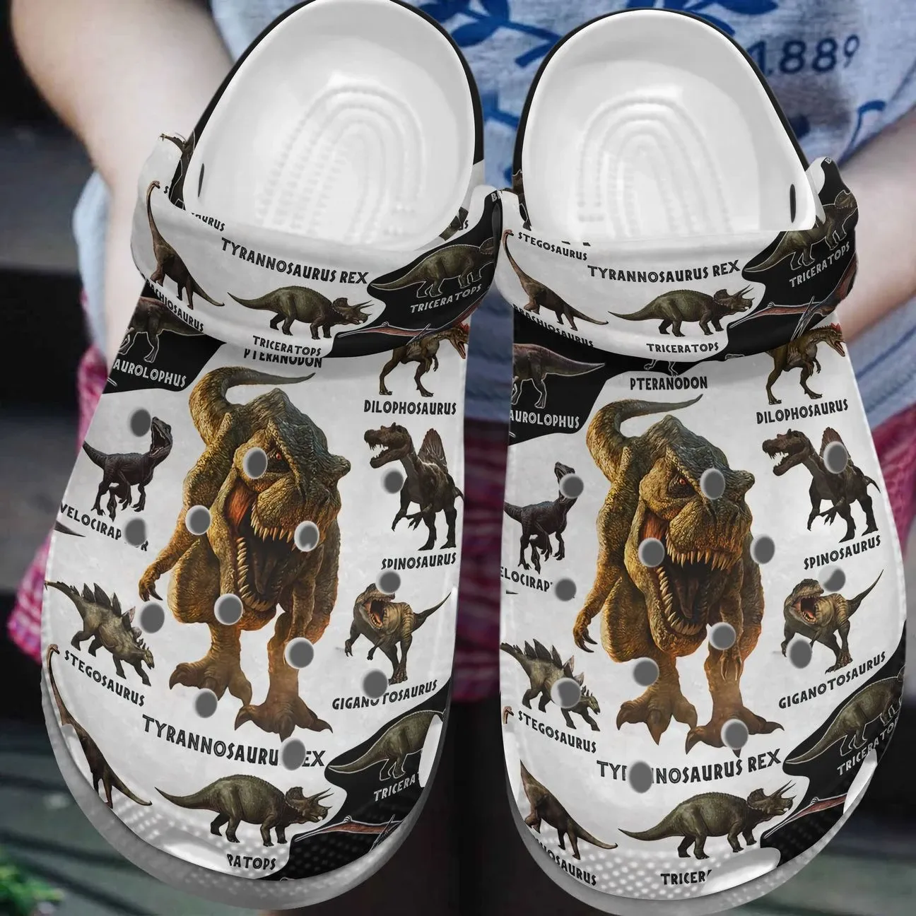Dinosaur Personalize Clog Custom Crocs Fashionstyle Comfortable For Women Men Kid Print 3D Dinosaur Knowledge Dinosaur Personalize Clog Custom Crocs Fashionstyle Comfortable For Women Men Kid Print 3D Dinosaur Knowledge