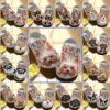 Dog Personalize Clog Custom Crocs Fashionstyle Comfortable For Women Men Kid Print 3D Floral Portrait Dogs