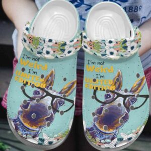 Donkey Personalized Clog Custom Crocs Comfortablefashion Style Comfortable For Women Men Kid Print 3D Limited Edition