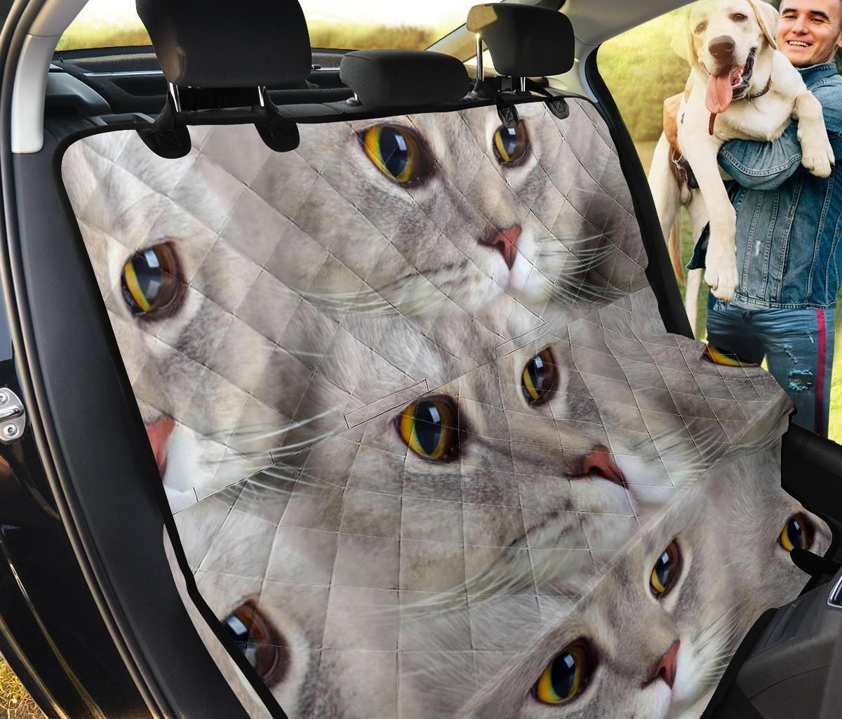 Face Of Scottish Fold Car Back Seat Cover Dog Car Seat Covers - 3b4d22b2b9d6 Face Of Scottish Fold Car Back Seat Cover Dog Car Seat Covers - 3b4d22b2b9d6