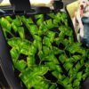 Flamboyant Banana Leaf Pattern Design Car Back Seat Cover Dog Car Seat Covers - cae0e44c25a3