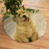 Golden Retrieve Round Carpet Floor Rug Living Room Bedroom Decor Round Area Rug Carpet