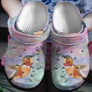 Hummingbird With Staves Crocs Clog Clog Shoes