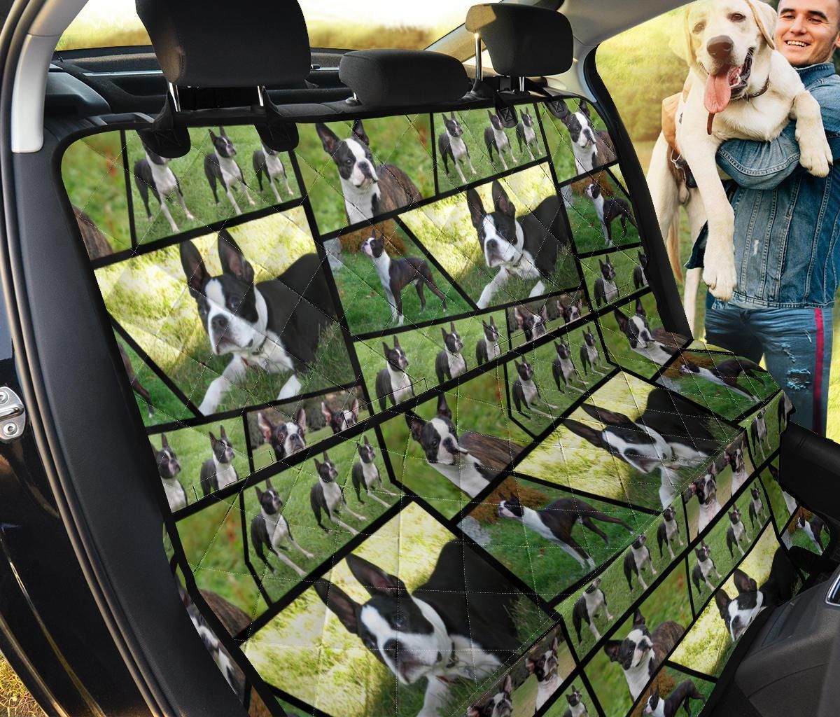 Natural And Boston Terrier Collage Car Back Seat Cover Dog Car Seat Covers - 1d0a93dea123 Natural And Boston Terrier Collage Car Back Seat Cover Dog Car Seat Covers - 1d0a93dea123