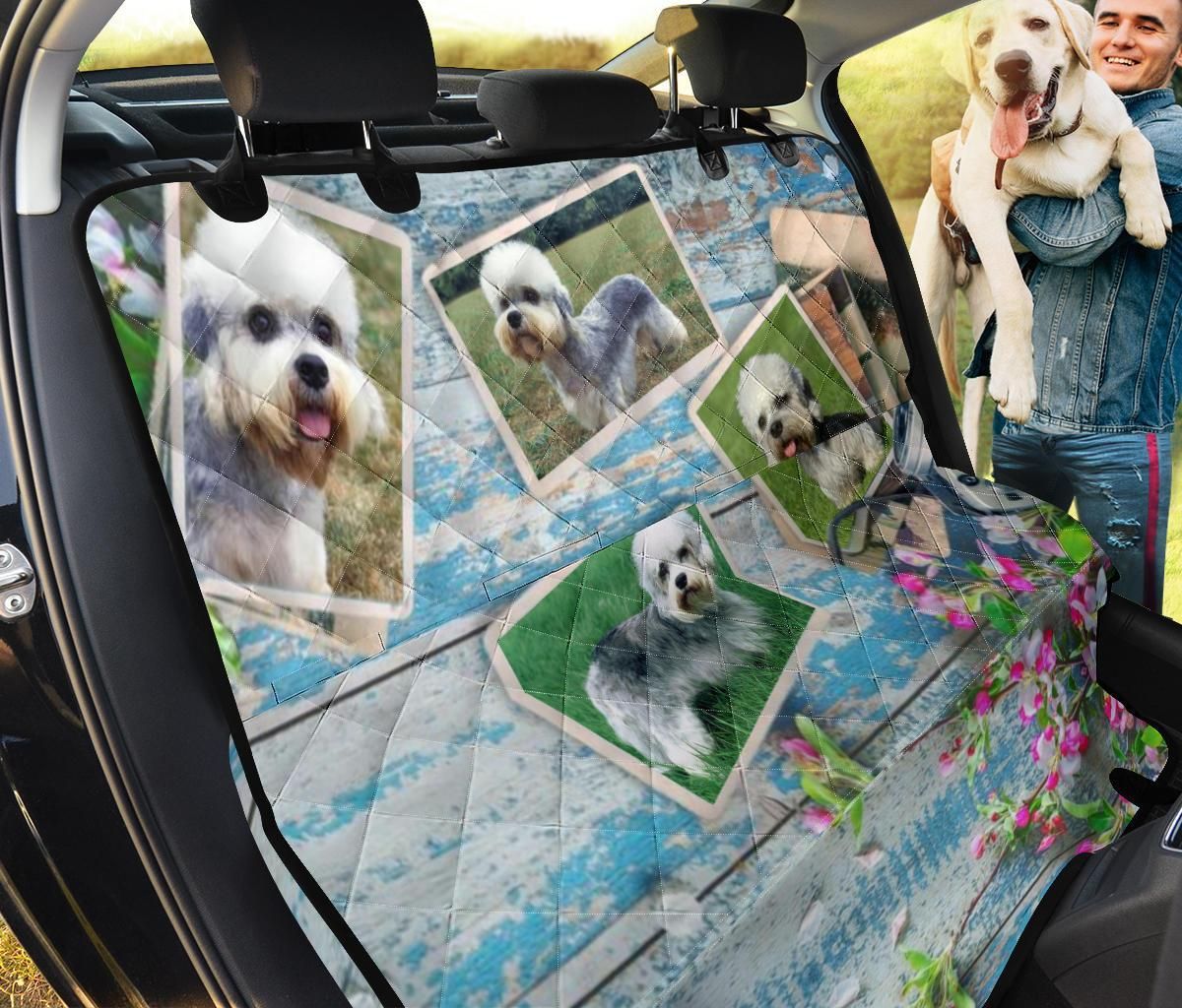 Natural Beauty Dandie Dinmont Terrier Car Back Seat Cover Dog Car Seat Covers - 20ea54dcf71e Natural Beauty Dandie Dinmont Terrier Car Back Seat Cover Dog Car Seat Covers - 20ea54dcf71e