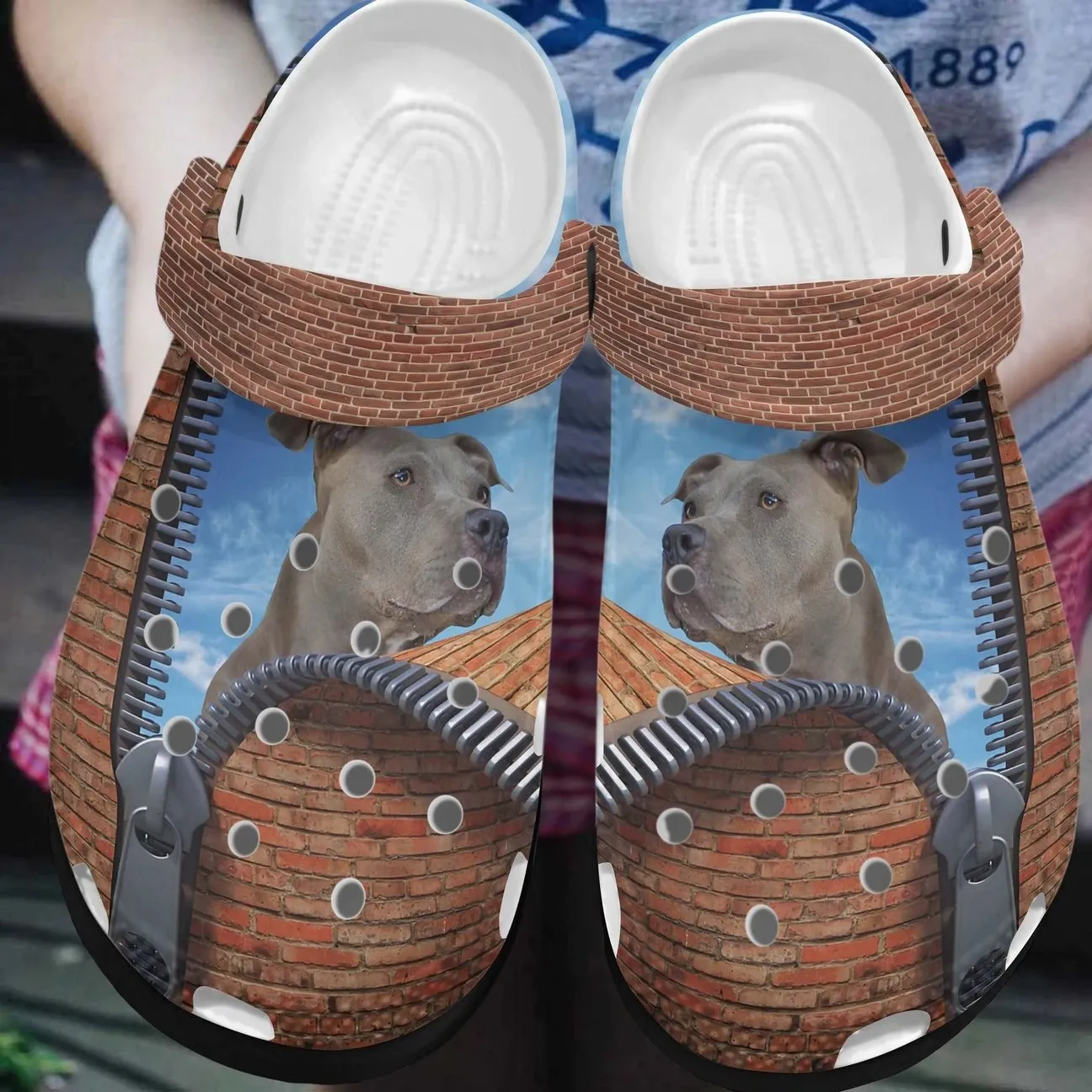 Pitbull Personalized Clog Custom Crocs Comfortablefashion Style Comfortable For Women Men Kid Print 3D Pitbull Wall Pitbull Personalized Clog Custom Crocs Comfortablefashion Style Comfortable For Women Men Kid Print 3D Pitbull Wall
