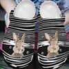 Rabbit Personalize Clog Custom Crocs Fashionstyle Comfortable For Women Men Kid Print 3D Whitesole Rabbit And Stripes