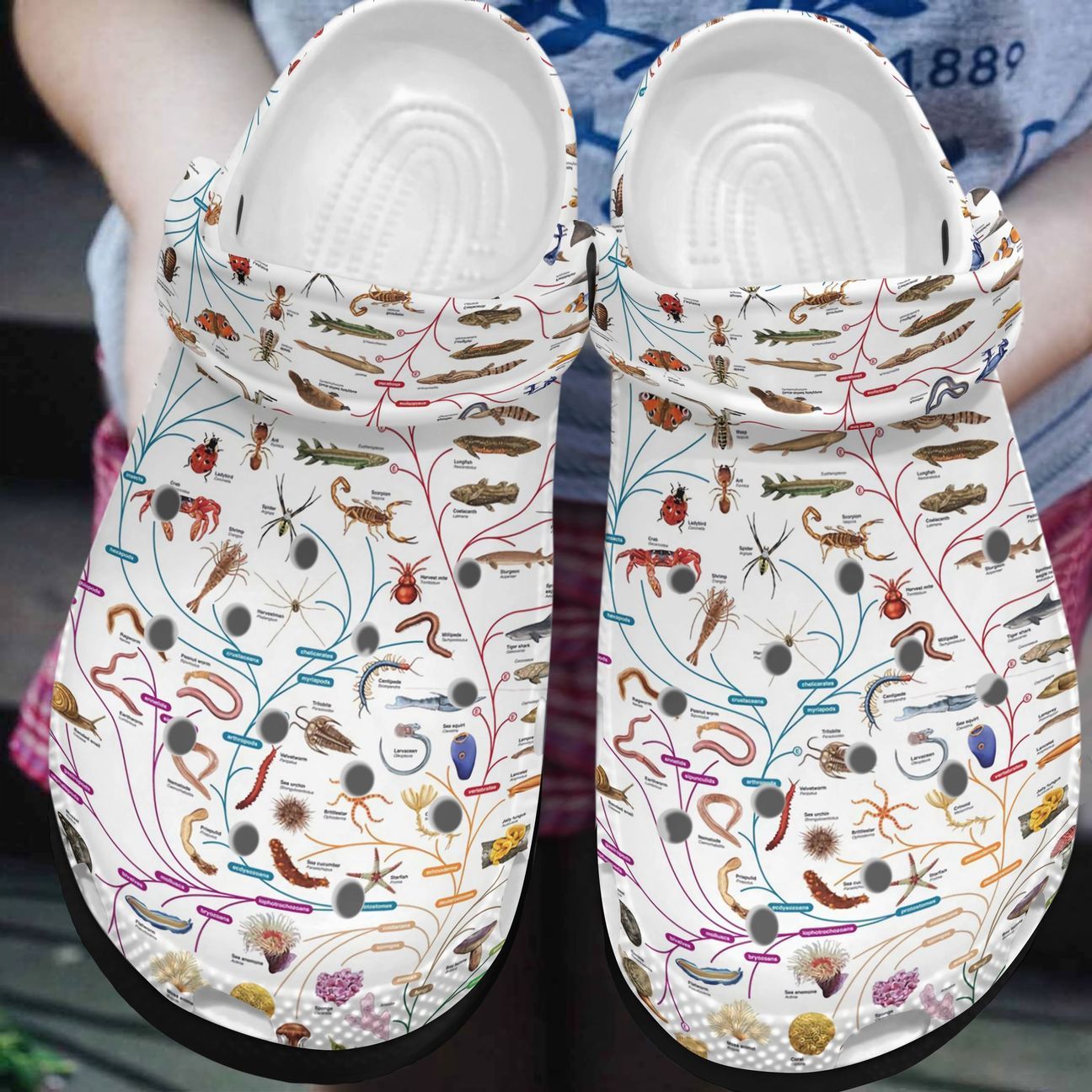 Science Personalized Clog Custom Crocs Comfortablefashion Style Comfortable For Women Men Kid Print 3D Biology Science Personalized Clog Custom Crocs Comfortablefashion Style Comfortable For Women Men Kid Print 3D Biology