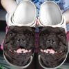 Staffordshire Bull Terrier Personalize Clog Custom Crocs Clog On Sandal Fashion Style Comfortable For Women Men Kid