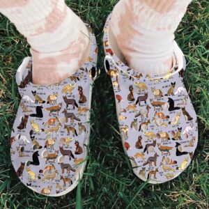 Type Of Fox Crocs Clog Classic Clogs Shoes