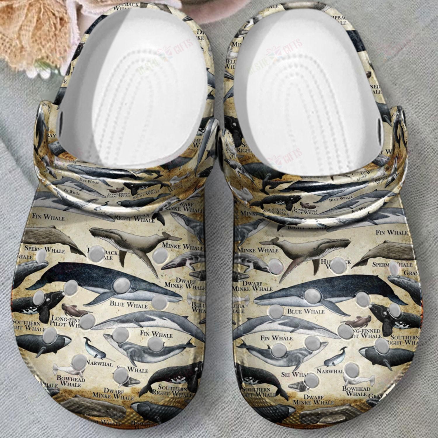 Whales Of The World Crocs Clog Classic Clogs Shoes Whales Of The World Crocs Clog Classic Clogs Shoes