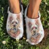Yorkie Crocs Clog Classic Clog Lovely Yorkie Shoes